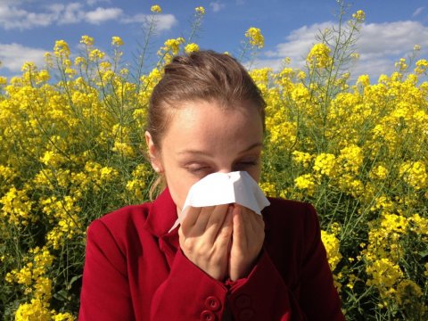 Ostéopathe pour traiter les problèmes d'allergies à Coustellet -Maubec